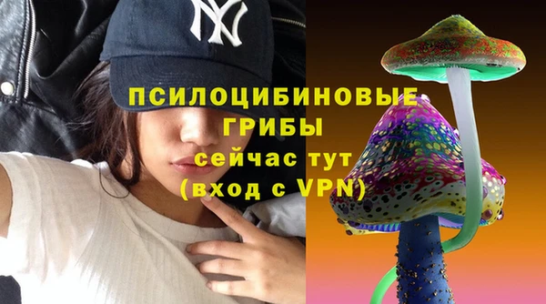 бошки Беломорск