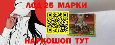 МДПВ Бийск
