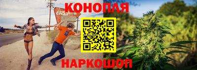 стаф Берёзовский