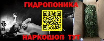 стаф Берёзовский