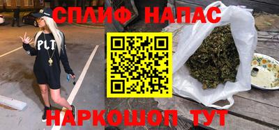 МДПВ Бийск