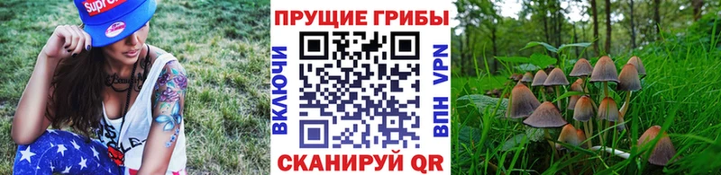 Галлюциногенные грибы прущие грибы  купить закладку  Гулькевичи 